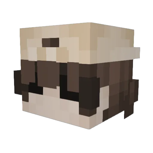 Magxxxical Minecraft avatar head, 3D render