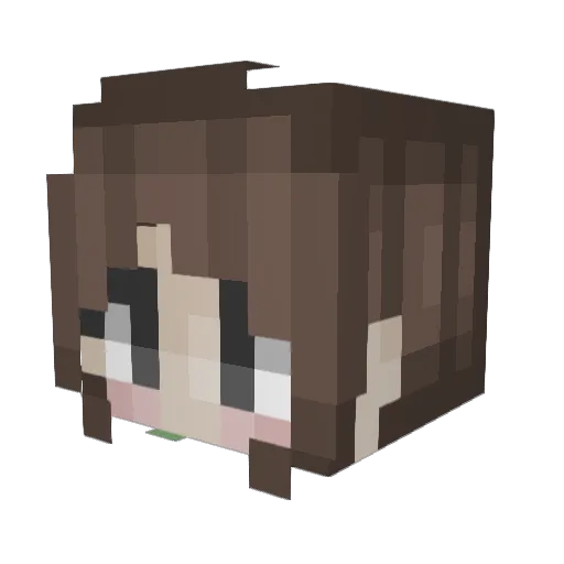 Maha1004 Minecraft avatar head, 3D render
