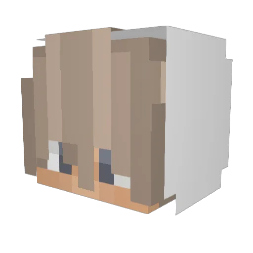 Mahiro_x3 Minecraft avatar head, 3D render