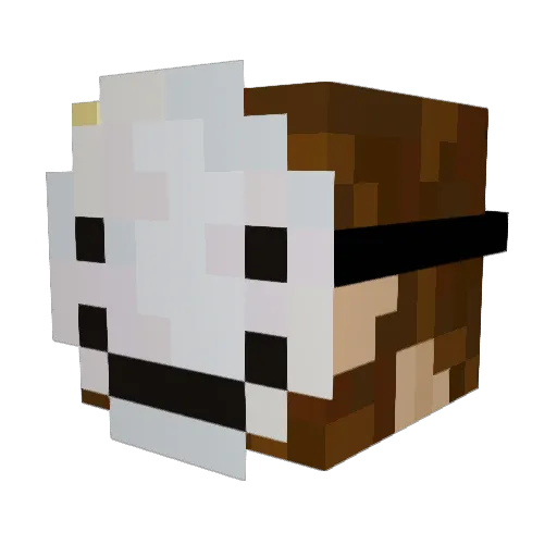 Mahlosh Minecraft avatar head, 3D render