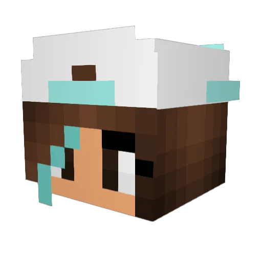 Mahnkie Minecraft avatar head, 3D render