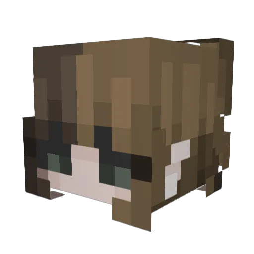 Mai1234567 Minecraft avatar head, 3D render