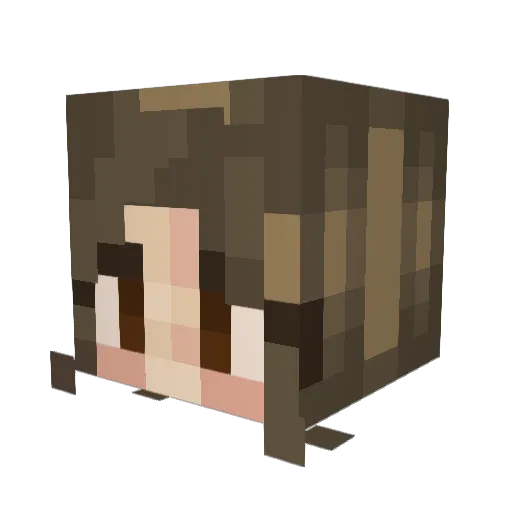 MaiTai531 Minecraft avatar head, 3D render