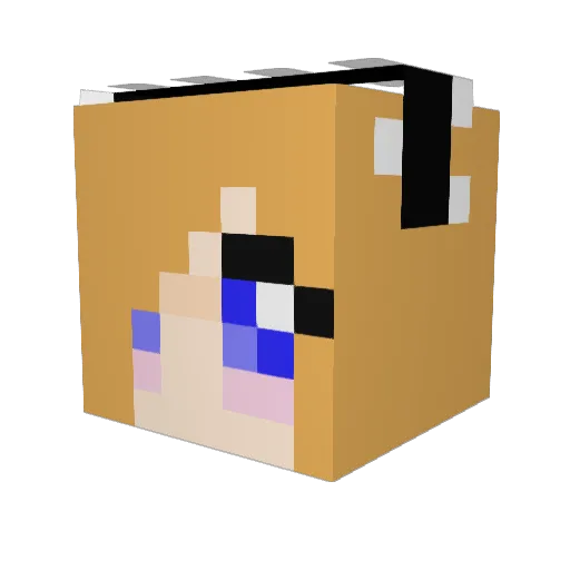 Maid909 Minecraft avatar head, 3D render