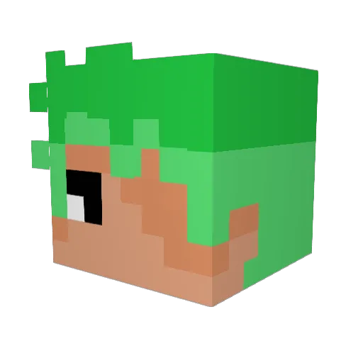 Maik1804 Minecraft avatar head, 3D render