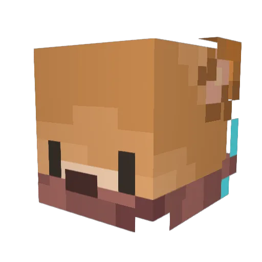 Minecraft-Avatar von MaikE01: Kopf als 3D-Render