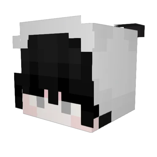 Maikbaas Minecraft avatar head, 3D render