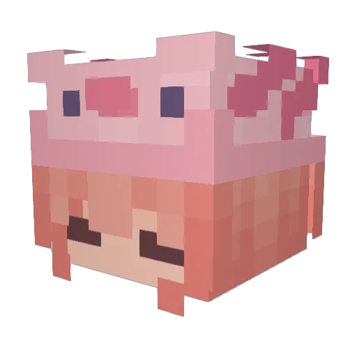 Maiko1411 Minecraft avatar head, 3D render