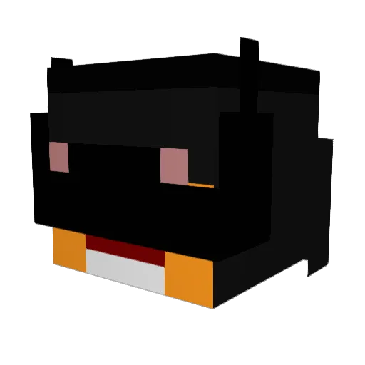 MailAddress Minecraft avatar head, 3D render