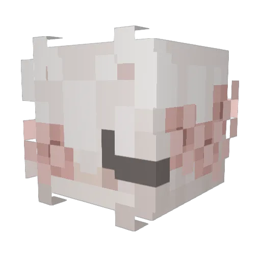 Mailinee Minecraft avatar head, 3D render