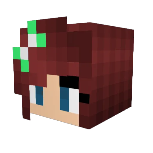 Maillou5 Minecraft avatar head, 3D render