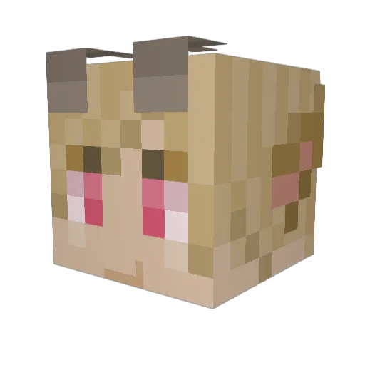 Mailmania Minecraft avatar head, 3D render