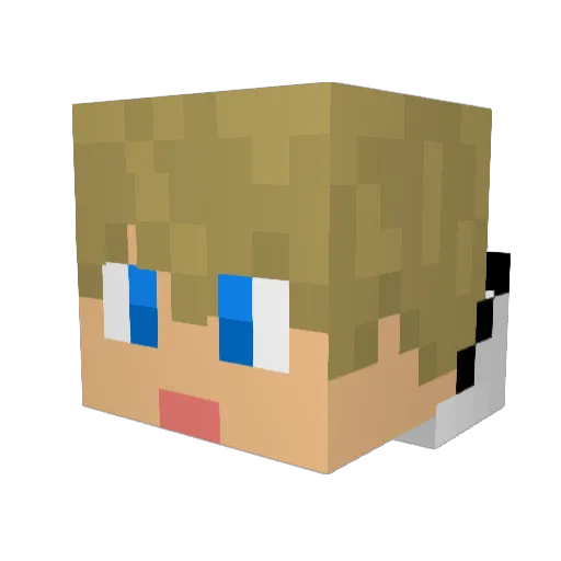 MaineC00N Minecraft avatar head, 3D render