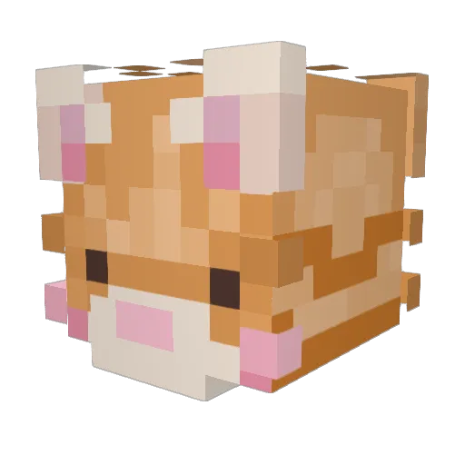 Mainecoon12 Minecraft avatar head, 3D render