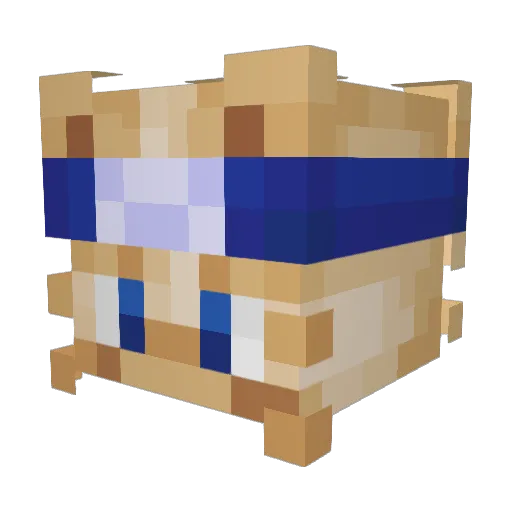 Mainecoonn Minecraft avatar head, 3D render