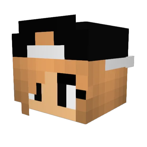 Maintower Minecraft avatar head, 3D render
