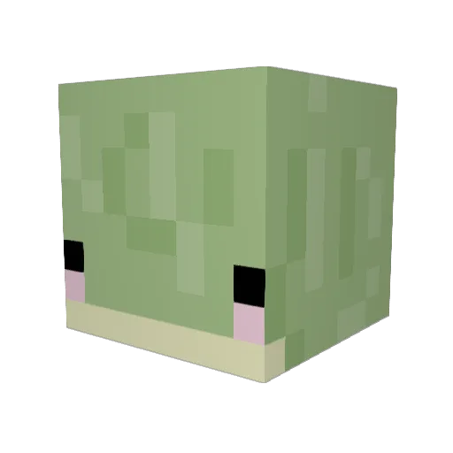 Mair0u Minecraft avatar head, 3D render