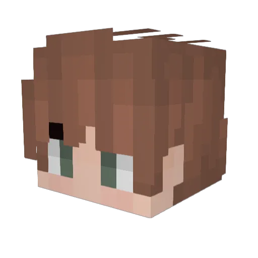 Maister_C Minecraft avatar head, 3D render