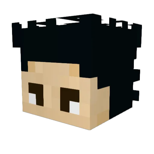 Maitre_blbl Minecraft avatar head, 3D render