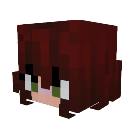 MaixTea Minecraft avatar head, 3D render