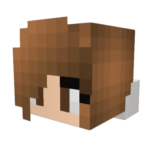 Maizi_Age Minecraft avatar head, 3D render