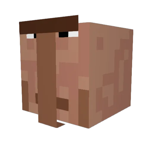 Maj0r_00 Minecraft avatar head, 3D render
