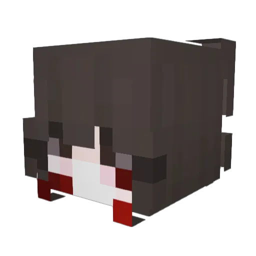Maja13 Minecraft avatar head, 3D render