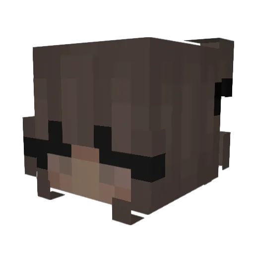 Maja9335 Minecraft avatar head, 3D render