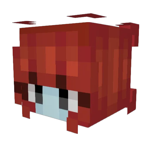 MajaBienchen Minecraft avatar head, 3D render