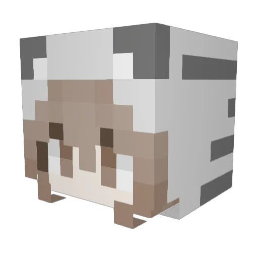 Majaq2115 Minecraft avatar head, 3D render