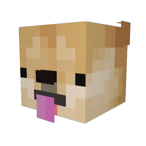 MajesticaDoge Minecraft avatar head, 3D render