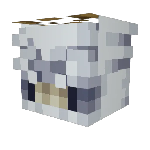 MajinManolo_III Minecraft avatar head, 3D render