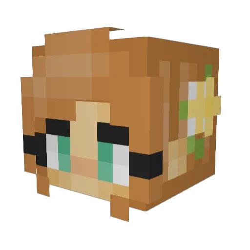 Majka9903 Minecraft avatar head, 3D render