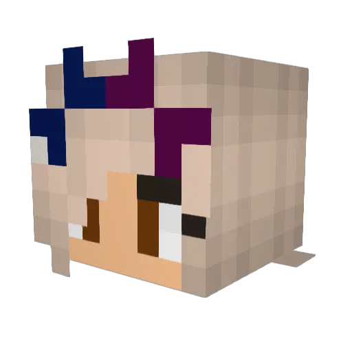 Majka_Fajka_ Minecraft avatar head, 3D render
