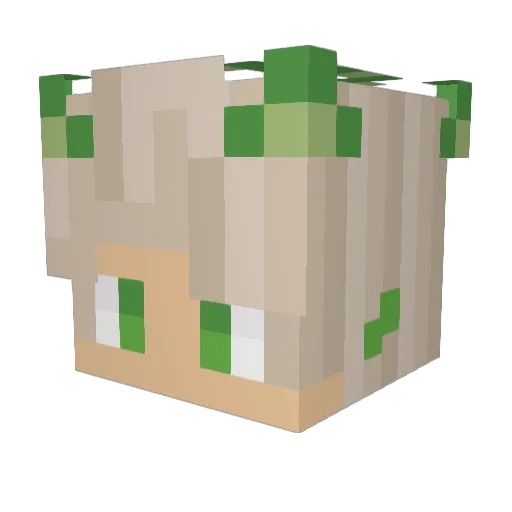 Majkiii_CzYTB Minecraft avatar head, 3D render