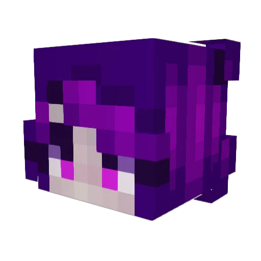 MajoIsGeil2005 Minecraft avatar head, 3D render
