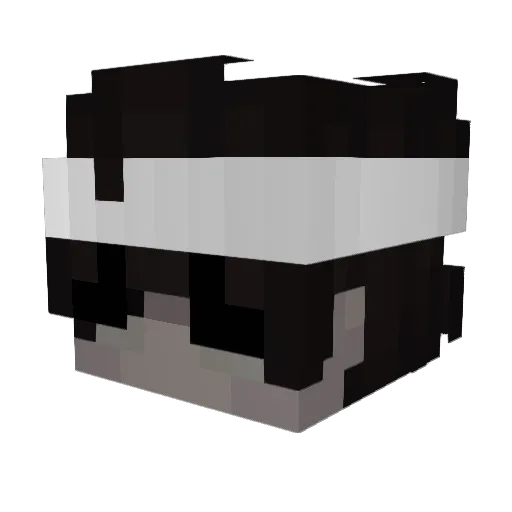 MajorRayy Minecraft avatar head, 3D render