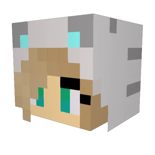 MajorSkillage14 Minecraft avatar head, 3D render