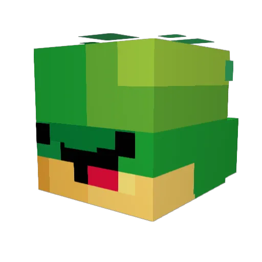 Major_Stones Minecraft avatar head, 3D render