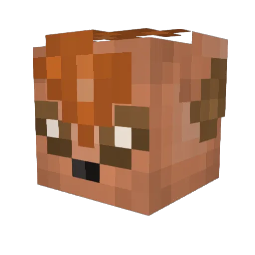 MajoraGoddess Minecraft avatar head, 3D render