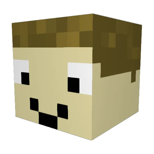 Majorgamer15561 Minecraft avatar head, 3D render