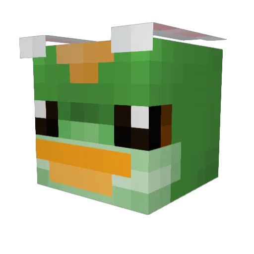 Majortoe62 Minecraft avatar head, 3D render