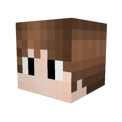 MajsterPll Minecraft avatar head, 3D render