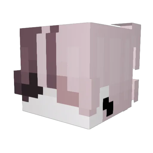 MajsterShadow Minecraft avatar head, 3D render