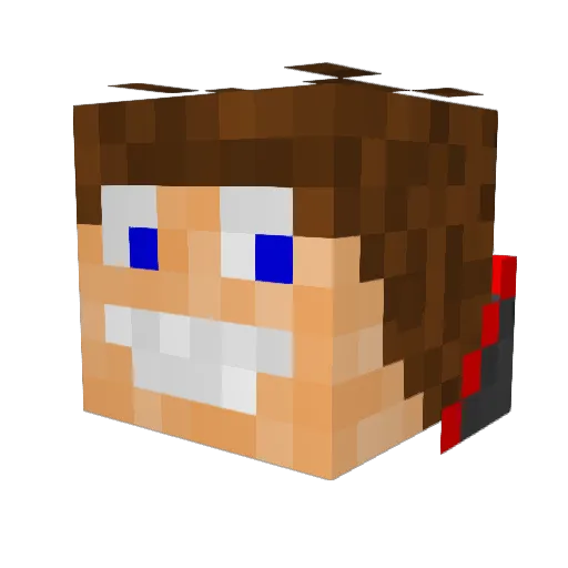 Majsterszczyk Minecraft avatar head, 3D render