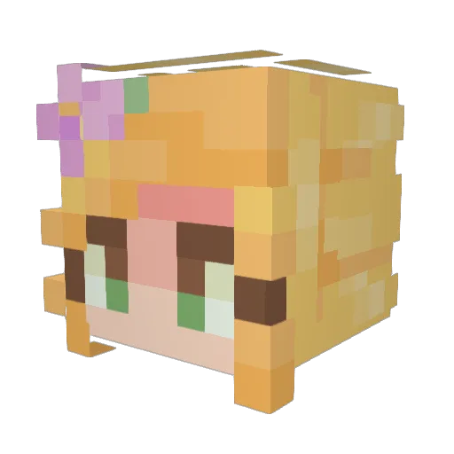Mak4224 Minecraft avatar head, 3D render