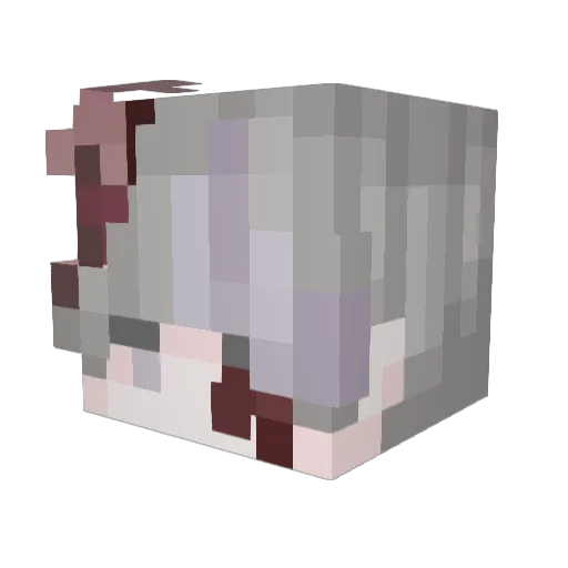 MakSmi77 Minecraft avatar head, 3D render