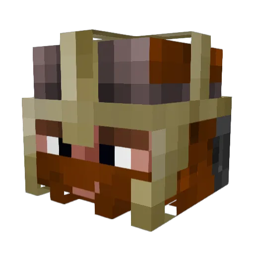 Makallister Minecraft avatar head, 3D render