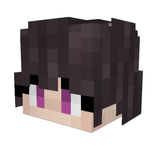 MakarySuperHamer Minecraft avatar head, 3D render