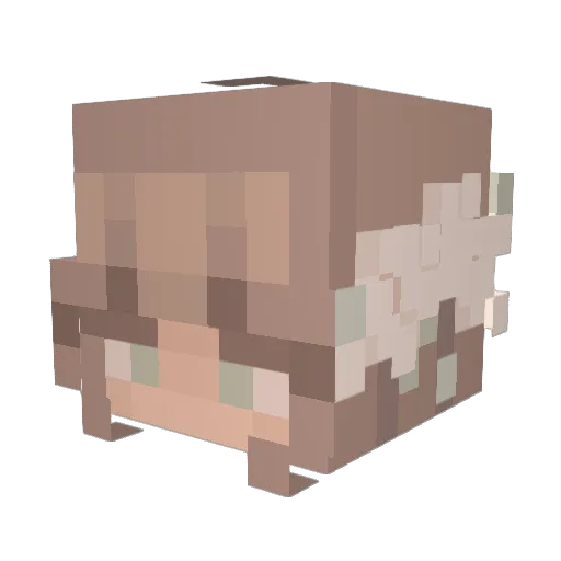 Makayla18 Minecraft avatar head, 3D render